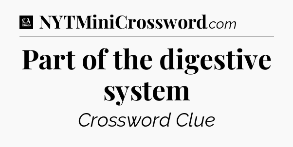 Part of the digestive system - LA Times Crossword