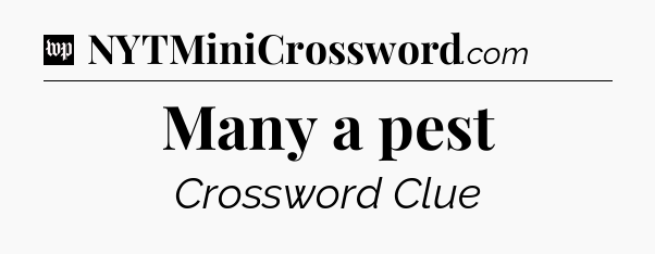 Many a pest Crossword Clue