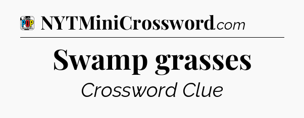 Swamp grasses Crossword Clue