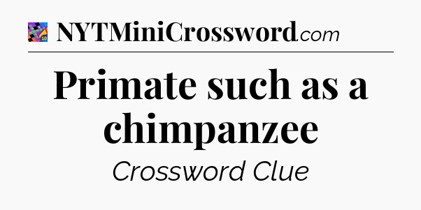 Primate such as a chimpanzee Crossword Clue