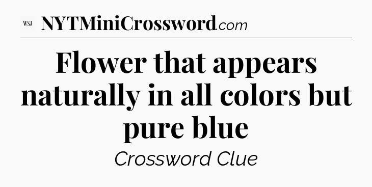 Flower that appears naturally in all colors but pure blue - WSJ Crossword