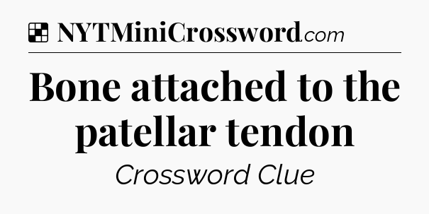 Solution: Bone attached to the patellar tendon - NYT Crossword