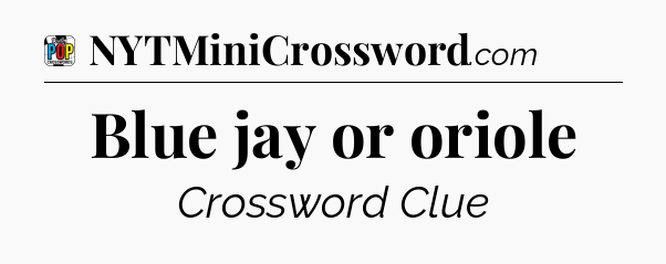 Blue jay or oriole Crossword Clue