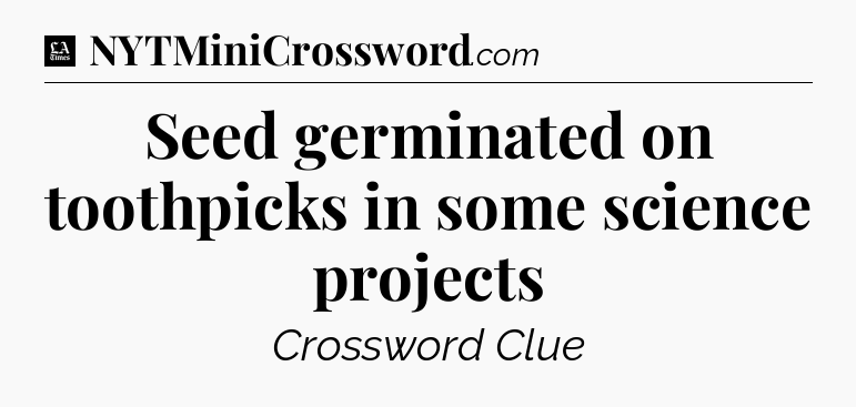 Seed germinated on toothpicks in some science projects - LA Times Crossword