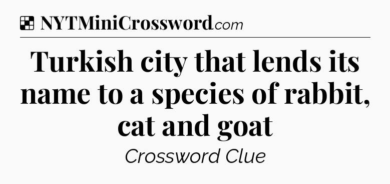 Solution: Turkish city that lends its name to a species of rabbit, cat and goat - NYT Crossword