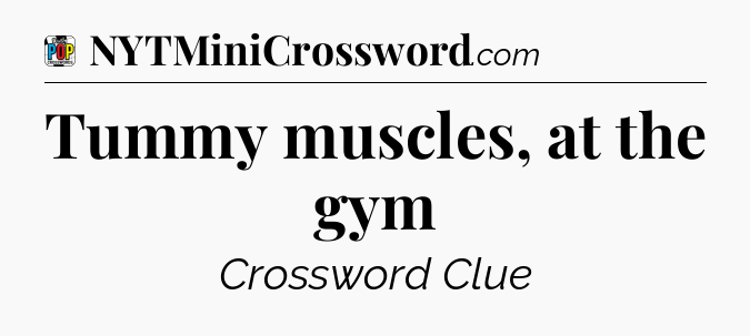 Tummy muscles, at the gym Crossword Clue
