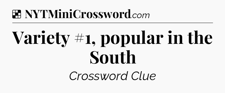 Solution: Variety #1, popular in the South - NYT Crossword