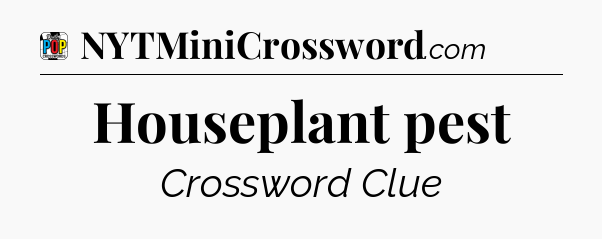 Houseplant pest Crossword Clue