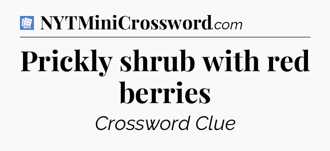 Prickly shrub with red berries Puzzle Page Crossword Clue