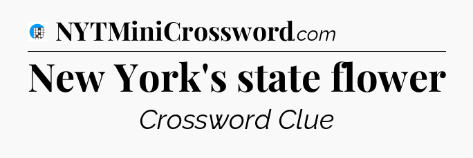 New York's state flower Crossword Clue
