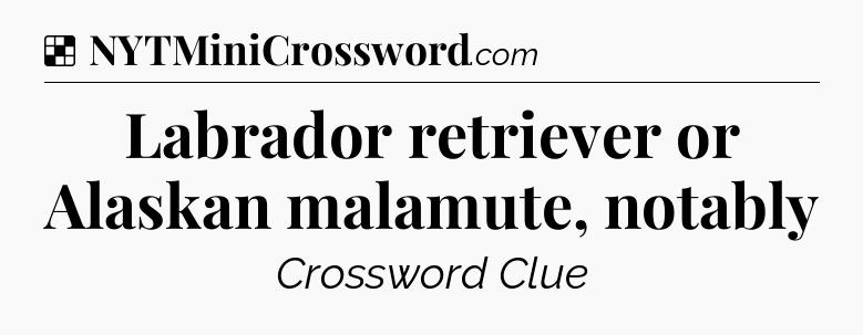 Solution: Labrador retriever or Alaskan malamute, notably - NYT Crossword