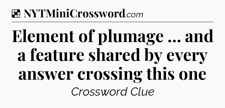 Solution: Element of plumage … and a feature shared by every answer crossing this one - NYT Crossword