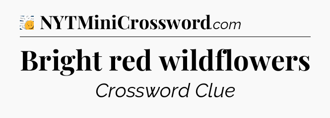 Bright red wildflowers - 7 Little Words