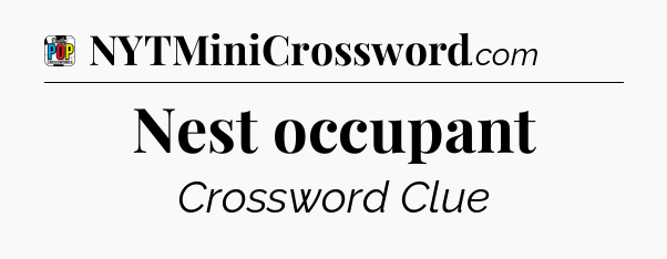 Nest occupant Crossword Clue