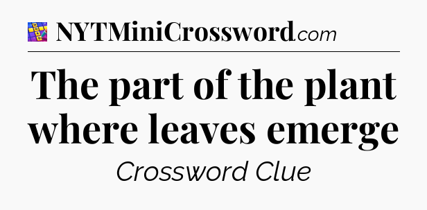 The part of the plant where leaves emerge Codycross