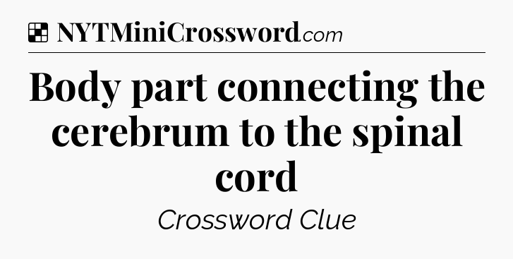 Solution: Body part connecting the cerebrum to the spinal cord - NYT Crossword
