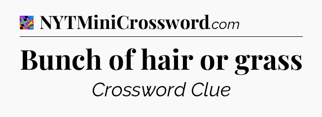 Bunch of hair or grass Crossword Clue