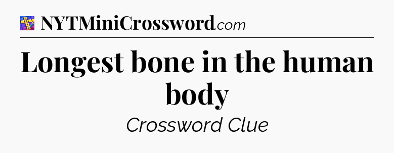 Longest bone in the human body Codycross