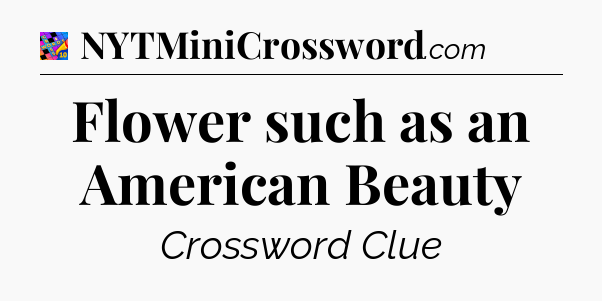 Flower such as an American Beauty Crossword Clue