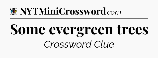Some evergreen trees Crossword Clue