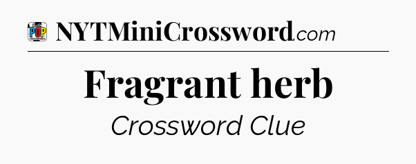 Fragrant herb Crossword Clue