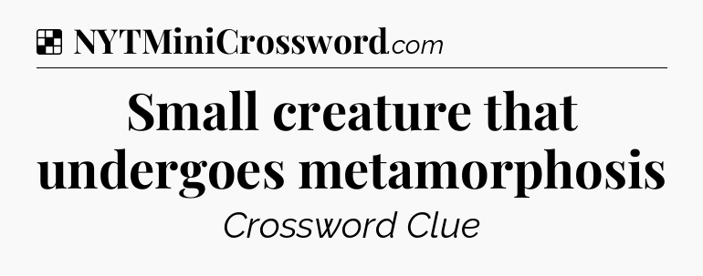 Solution: Small creature that undergoes metamorphosis - NYT Crossword
