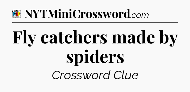 Fly catchers made by spiders Crossword Clue