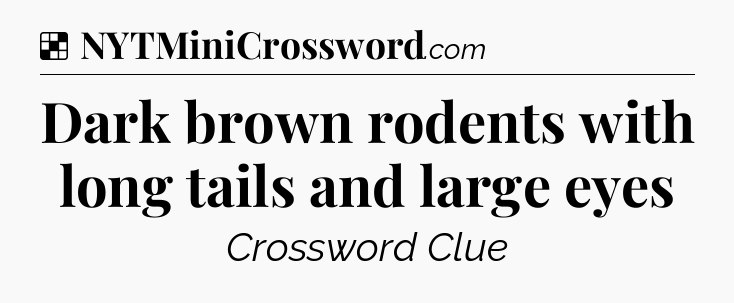 Solution: Dark brown rodents with long tails and large eyes - NYT Crossword