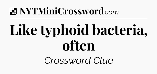 Solution: Like typhoid bacteria, often - NYT Crossword