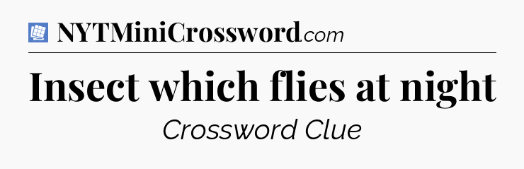 Insect which flies at night Puzzle Page Crossword Clue