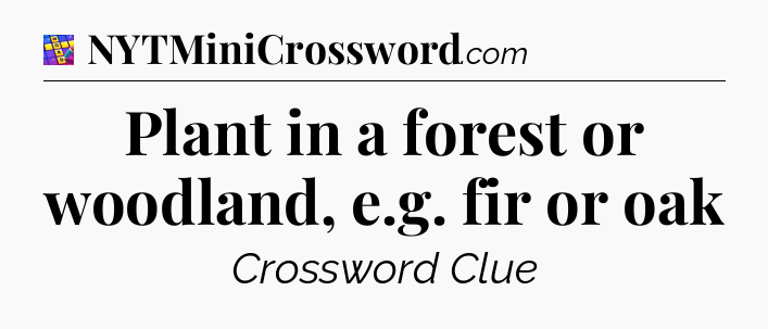 Plant in a forest or woodland, e.g. fir or oak Codycross
