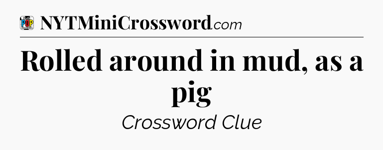 Rolled around in mud, as a pig Crossword Clue
