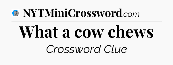 What a cow chews Crossword Clue
