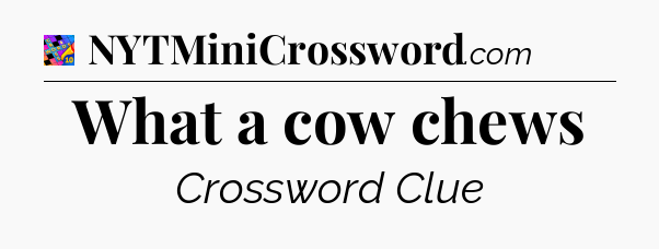 What a cow chews Crossword Clue