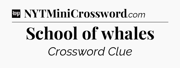 School of whales Crossword Clue