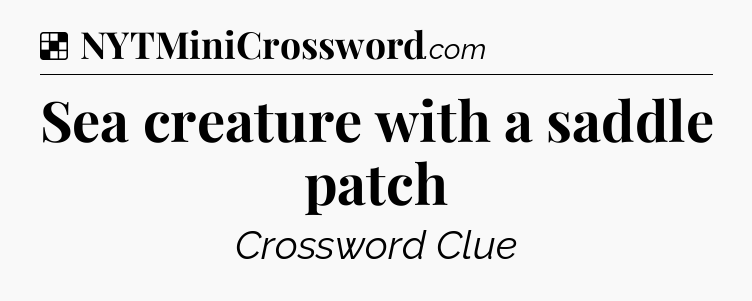 Solution: Sea creature with a saddle patch - NYT Crossword
