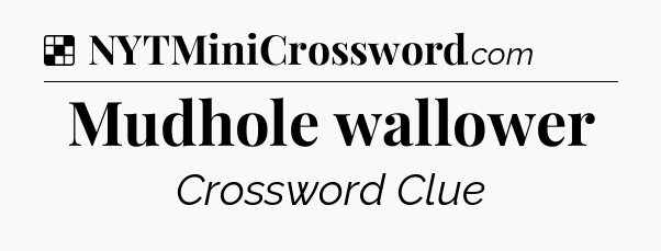 Solution: Mudhole wallower - NYT Crossword