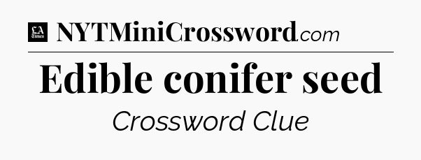 Edible conifer seed - LA Times Crossword