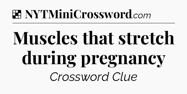 Solution: Muscles that stretch during pregnancy - NYT Crossword