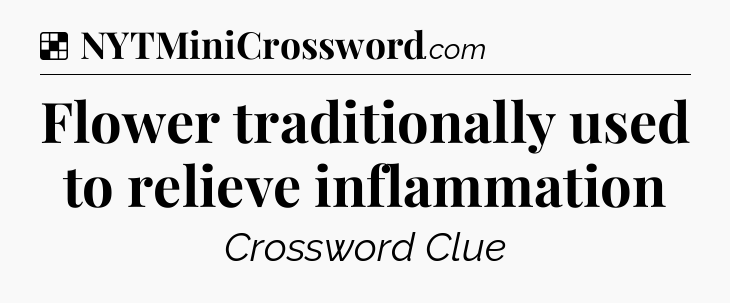 Solution: Flower traditionally used to relieve inflammation - NYT Crossword