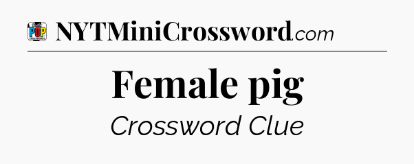 Female pig Crossword Clue