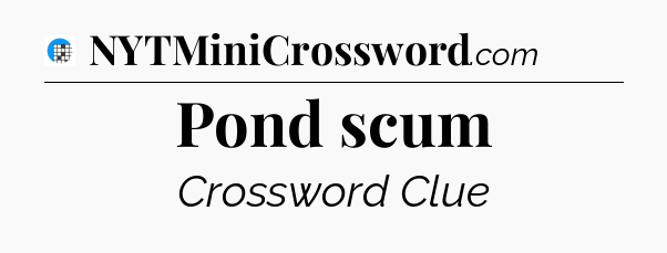 Pond scum Crossword Clue