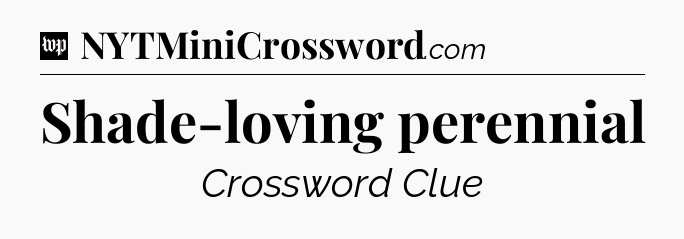 Shade-loving perennial Crossword Clue