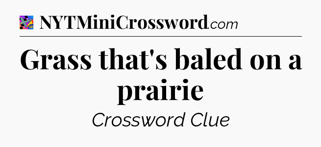 Grass that's baled on a prairie Crossword Clue