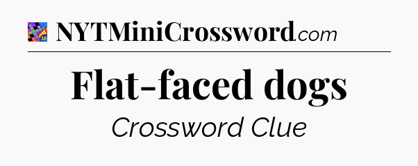Flat-faced dogs Crossword Clue