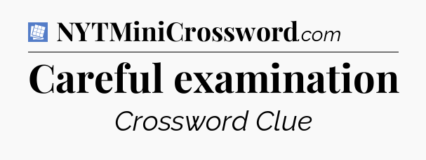 Careful examination Puzzle Page Crossword Clue