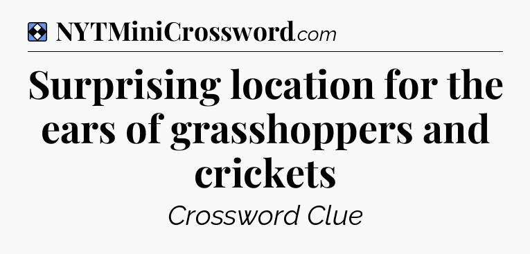 Solution: Surprising location for the ears of grasshoppers and crickets - NYT Mini Crossword