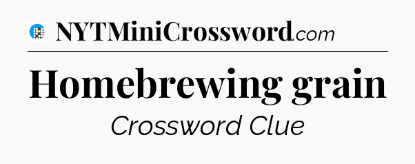 Homebrewing grain Crossword Clue