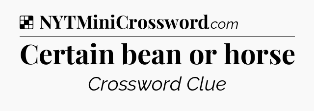 Solution: Certain bean or horse - NYT Crossword
