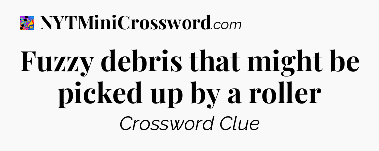 Fuzzy debris that might be picked up by a roller Crossword Clue